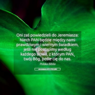 Picture 05 - Jeremiasza 42:5 POLUBG - Oni zaś powiedzieli do Jeremiasza: Niech PAN - Bible Verse Picture