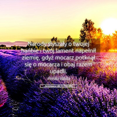 Picture 05 - Jeremiasza 46:12 POLUBG - Narody słyszały o twojej hańbie i twój lament - Bible Verse Picture