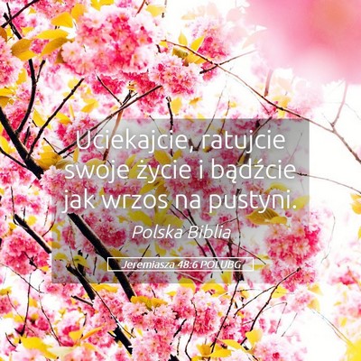 Picture 05 - Jeremiasza 48:6 POLUBG - Uciekajcie, ratujcie swoje życie i bądźcie jak - Bible Verse Picture