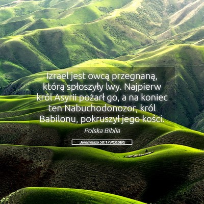 Picture 05 - Jeremiasza 50:17 POLUBG - Izrael jest owcą przegnaną, którą spłoszyły - Bible Verse Picture