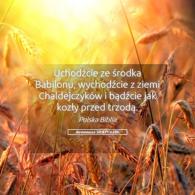 Picture 05 - Jeremiasza 50:8 POLUBG - Uchodźcie ze środka Babilonu, wychodźcie z - Bible Verse Picture