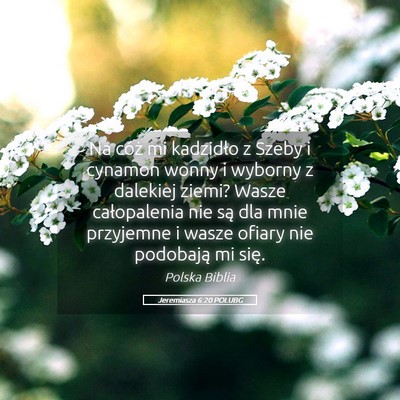 Picture 05 - Jeremiasza 6:20 POLUBG - Na cóż mi kadzidło z Szeby i cynamon wonny i - Bible Verse Picture