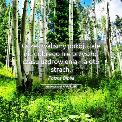 Picture 05 - Jeremiasza 8:15 POLUBG - Oczekiwaliśmy pokoju, ale nic dobrego nie - Bible Verse Picture