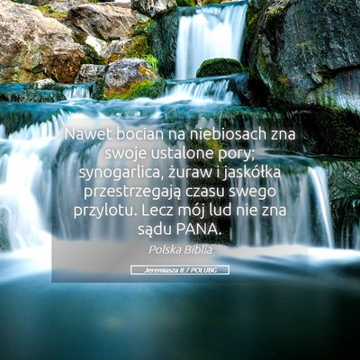 Picture 05 - Jeremiasza 8:7 POLUBG - Nawet bocian na niebiosach zna swoje ustalone - Bible Verse Picture