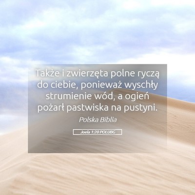 Picture 05 - Joela 1:20 POLUBG - Także i zwierzęta polne ryczą do ciebie, - Bible Verse Picture