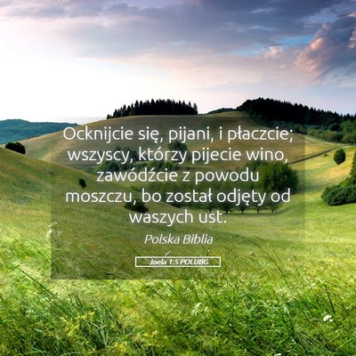 Picture 05 - Joela 1:5 POLUBG - Ocknijcie się, pijani, i płaczcie; wszyscy, - Bible Verse Picture