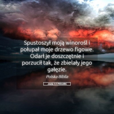 Picture 05 - Joela 1:7 POLUBG - Spustoszył moją winorośl i połupał moje - Bible Verse Picture