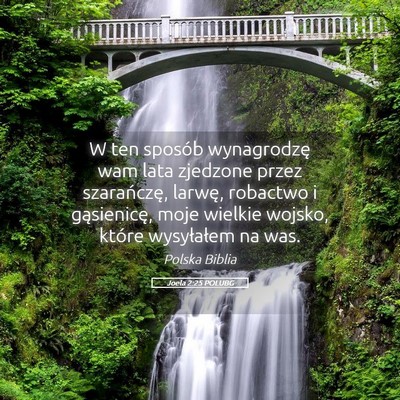 Picture 05 - Joela 2:25 POLUBG - W ten sposób wynagrodzę wam lata zjedzone przez - Bible Verse Picture