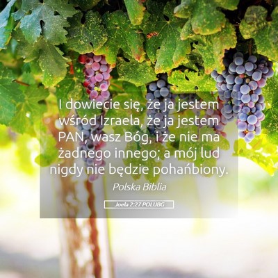 Picture 05 - Joela 2:27 POLUBG - I dowiecie się, że ja jestem wśród Izraela, - Bible Verse Picture