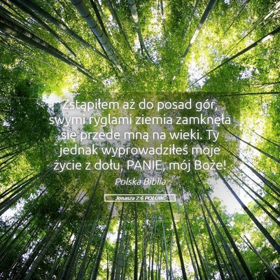 Picture 05 - Jonasza 2:6 POLUBG - Zstąpiłem aż do posad gór, swymi ryglami - Bible Verse Picture
