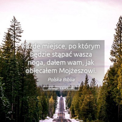 Picture 05 - Jozuego 1:3 POLUBG - Każde miejsce, po którym będzie stąpać wasza - Bible Verse Picture