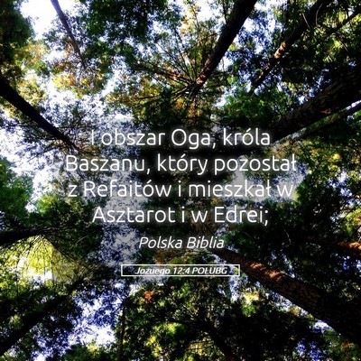Picture 05 - Jozuego 12:4 POLUBG - I obszar Oga, króla Baszanu, który pozostał z - Bible Verse Picture