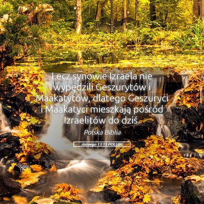 Picture 05 - Jozuego 13:13 POLUBG - Lecz synowie Izraela nie wypędzili Geszurytów i - Bible Verse Picture