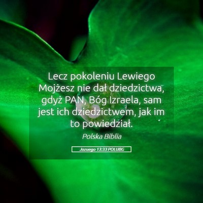 Picture 05 - Jozuego 13:33 POLUBG - Lecz pokoleniu Lewiego Mojżesz nie dał - Bible Verse Picture