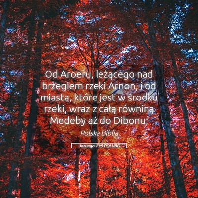 Picture 05 - Jozuego 13:9 POLUBG - Od Aroeru, leżącego nad brzegiem rzeki Arnon, i - Bible Verse Picture