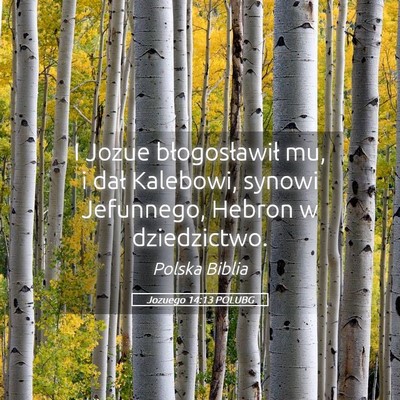 Picture 05 - Jozuego 14:13 POLUBG - I Jozue błogosławił mu, i dał Kalebowi, - Bible Verse Picture