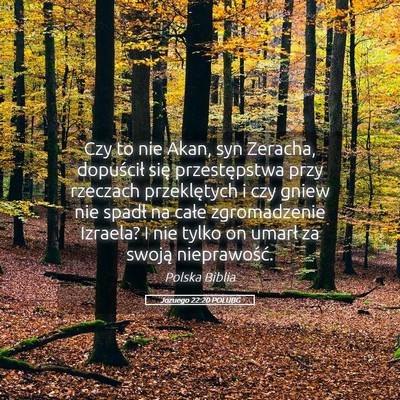 Picture 05 - Jozuego 22:20 POLUBG - Czy to nie Akan, syn Zeracha, dopuścił się - Bible Verse Picture