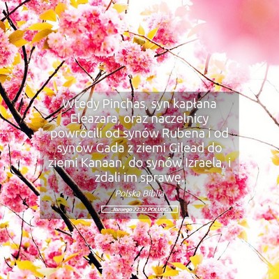 Picture 05 - Jozuego 22:32 POLUBG - Wtedy Pinchas, syn kapłana Eleazara, oraz - Bible Verse Picture