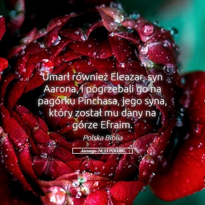 Picture 05 - Jozuego 24:33 POLUBG - Umarł również Eleazar, syn Aarona, i - Bible Verse Picture