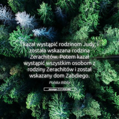 Picture 05 - Jozuego 7:17 POLUBG - I kazał wystąpić rodzinom Judy, i została - Bible Verse Picture