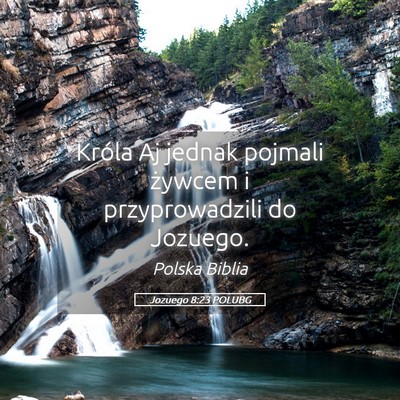 Picture 05 - Jozuego 8:23 POLUBG - Króla Aj jednak pojmali żywcem i przyprowadzili - Bible Verse Picture