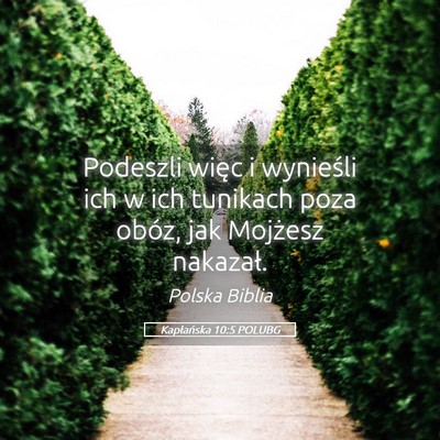 Picture 05 - Kapłańska 10:5 POLUBG - Podeszli więc i wynieśli ich w ich tunikach - Bible Verse Picture