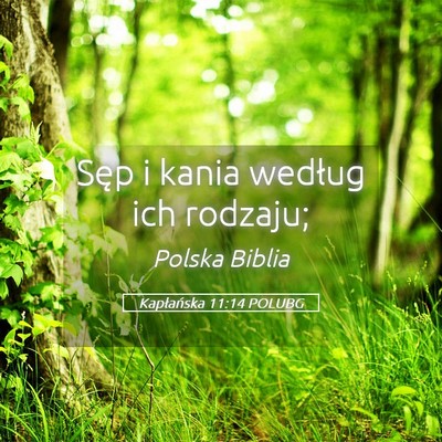 Picture 05 - Kapłańska 11:14 POLUBG - Sęp i kania według ich - Bible Verse Picture
