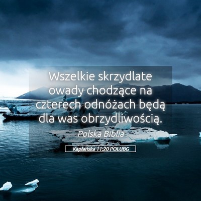 Picture 05 - Kapłańska 11:20 POLUBG - Wszelkie skrzydlate owady chodzące na czterech - Bible Verse Picture