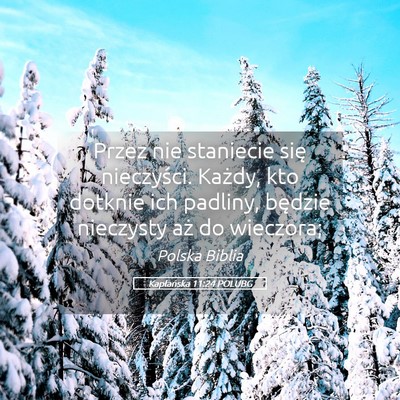 Picture 05 - Kapłańska 11:24 POLUBG - Przez nie staniecie się nieczyści. Każdy, kto - Bible Verse Picture