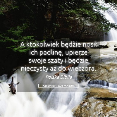 Picture 05 - Kapłańska 11:25 POLUBG - A ktokolwiek będzie nosił ich padlinę, upierze - Bible Verse Picture