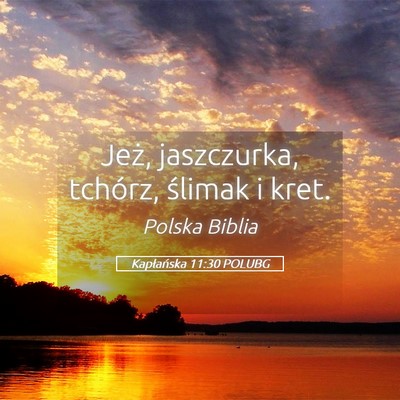 Picture 05 - Kapłańska 11:30 POLUBG - Jeż, jaszczurka, tchórz, ślimak i - Bible Verse Picture