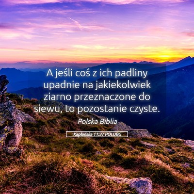 Picture 05 - Kapłańska 11:37 POLUBG - A jeśli coś z ich padliny upadnie na - Bible Verse Picture