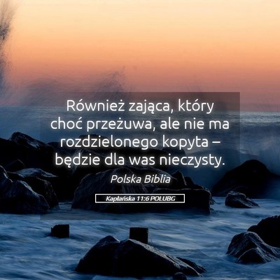 Picture 05 - Kapłańska 11:6 POLUBG - Również zająca, który choć przeżuwa, ale - Bible Verse Picture