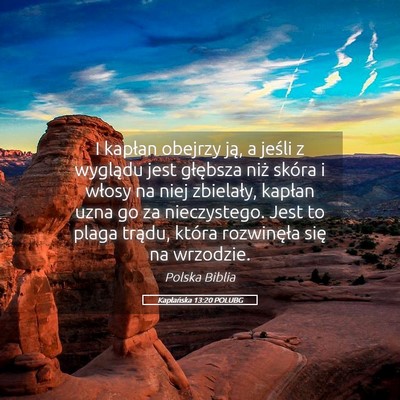 Picture 05 - Kapłańska 13:20 POLUBG - I kapłan obejrzy ją, a jeśli z wyglądu jest - Bible Verse Picture