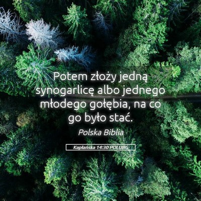 Picture 05 - Kapłańska 14:30 POLUBG - Potem złoży jedną synogarlicę albo jednego - Bible Verse Picture