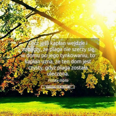 Picture 05 - Kapłańska 14:48 POLUBG - Lecz jeśli kapłan wejdzie i zobaczy, że plaga - Bible Verse Picture
