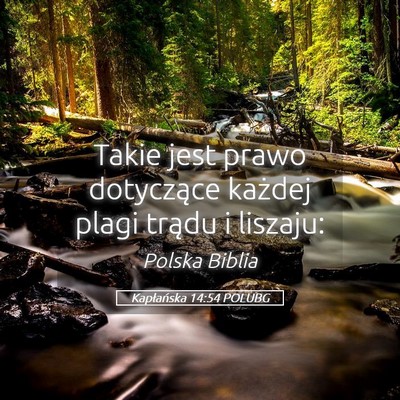 Picture 05 - Kapłańska 14:54 POLUBG - Takie jest prawo dotyczące każdej plagi trądu - Bible Verse Picture