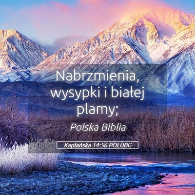 Picture 05 - Kapłańska 14:56 POLUBG - Nabrzmienia, wysypki i białej - Bible Verse Picture