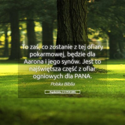 Picture 05 - Kapłańska 2:3 POLUBG - To zaś, co zostanie z tej ofiary pokarmowej, - Bible Verse Picture