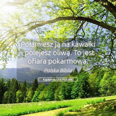 Picture 05 - Kapłańska 2:6 POLUBG - Połamiesz ją na kawałki i polejesz oliwą. To - Bible Verse Picture