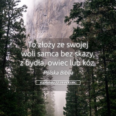 Picture 05 - Kapłańska 22:19 POLUBG - To złoży ze swojej woli samca bez skazy, z - Bible Verse Picture