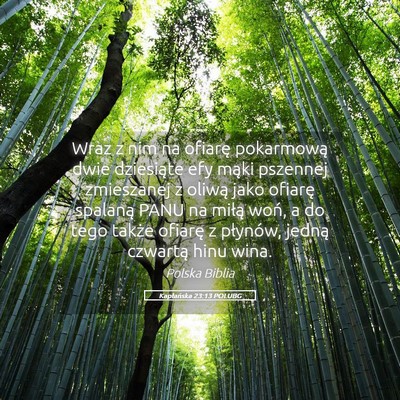 Picture 05 - Kapłańska 23:13 POLUBG - Wraz z nim na ofiarę pokarmową dwie dziesiąte - Bible Verse Picture