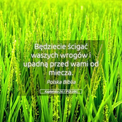 Picture 05 - Kapłańska 26:7 POLUBG - Będziecie ścigać waszych wrogów i upadną - Bible Verse Picture