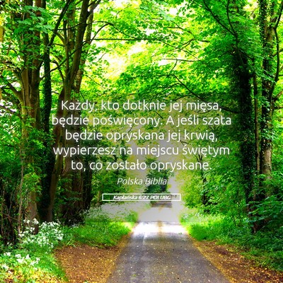 Picture 05 - Kapłańska 6:27 POLUBG - Każdy, kto dotknie jej mięsa, będzie - Bible Verse Picture