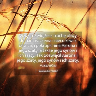 Picture 05 - Kapłańska 8:30 POLUBG - Wziął też Mojżesz trochę oliwy do - Bible Verse Picture