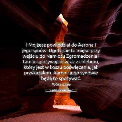 Picture 05 - Kapłańska 8:31 POLUBG - I Mojżesz powiedział do Aarona i jego synów: - Bible Verse Picture