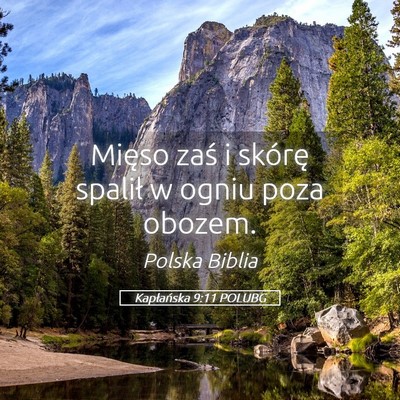 Picture 05 - Kapłańska 9:11 POLUBG - Mięso zaś i skórę spalił w ogniu poza - Bible Verse Picture