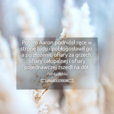 Picture 05 - Kapłańska 9:22 POLUBG - Potem Aaron podniósł ręce w stronę ludu i - Bible Verse Picture
