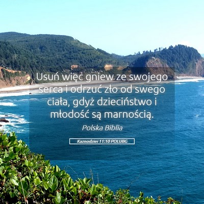 Picture 05 - Kaznodziei 11:10 POLUBG - Usuń więc gniew ze swojego serca i odrzuć zło - Bible Verse Picture