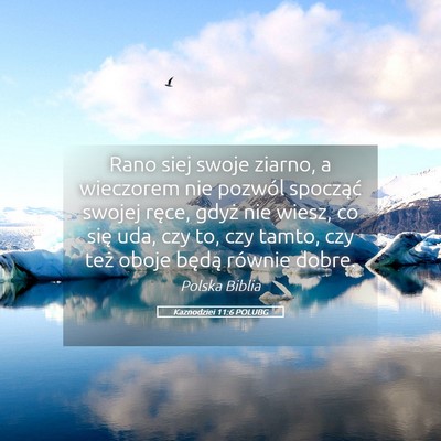 Picture 05 - Kaznodziei 11:6 POLUBG - Rano siej swoje ziarno, a wieczorem nie pozwól - Bible Verse Picture